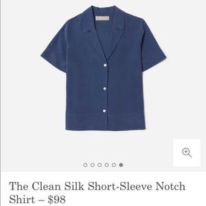 Everlane Clean Silk Notch Shirt